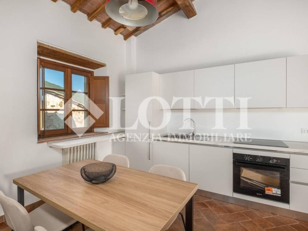 appartamento in affitto a Vicopisano