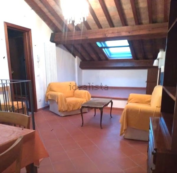 appartamento in affitto a Vicopisano