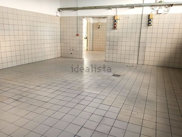 appartamento in affitto a Vicopisano