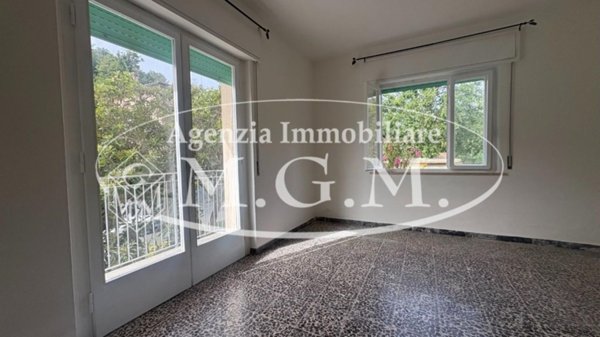 appartamento in affitto a Vicopisano