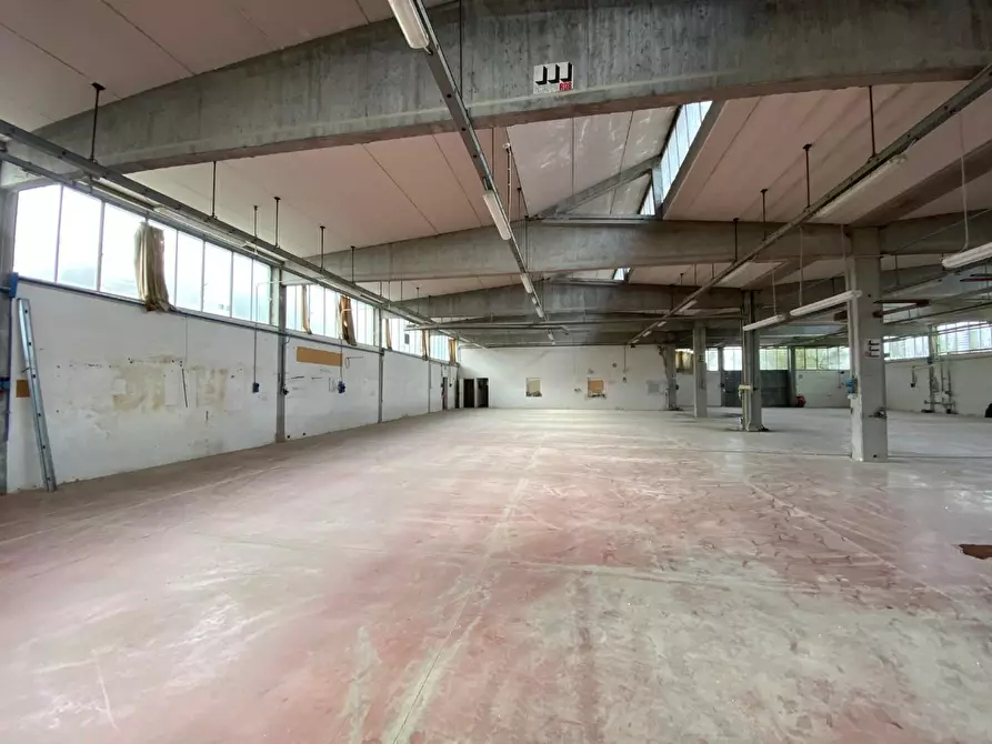 capannone in affitto a Casciana Terme Lari in zona Perignano