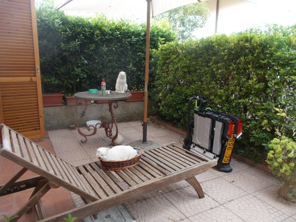 casa indipendente in affitto a Casciana Terme Lari in zona Casciana Terme