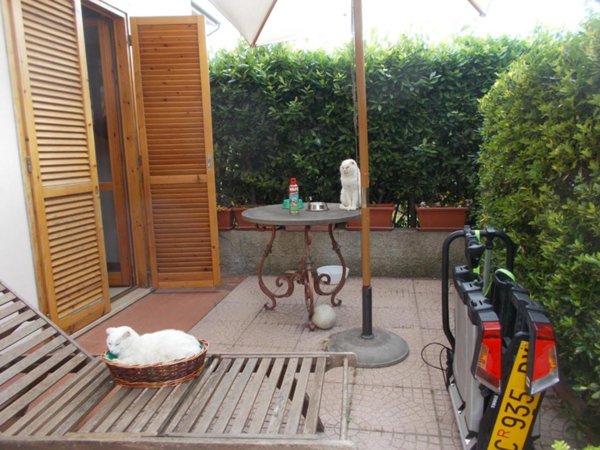 casa indipendente in affitto a Casciana Terme Lari in zona Casciana Terme
