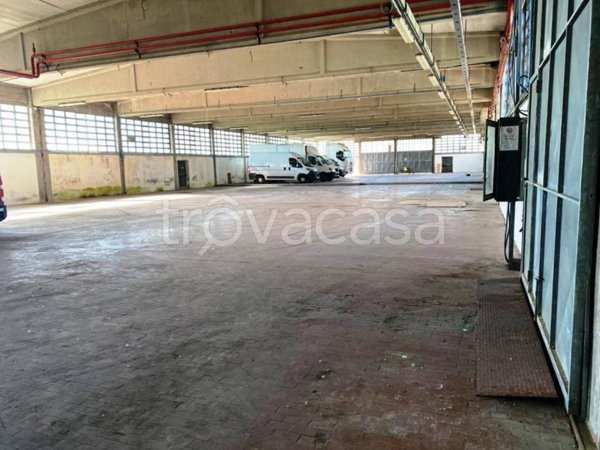 capannone in affitto a Casciana Terme Lari