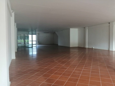 negozio in affitto a Casciana Terme Lari in zona Perignano