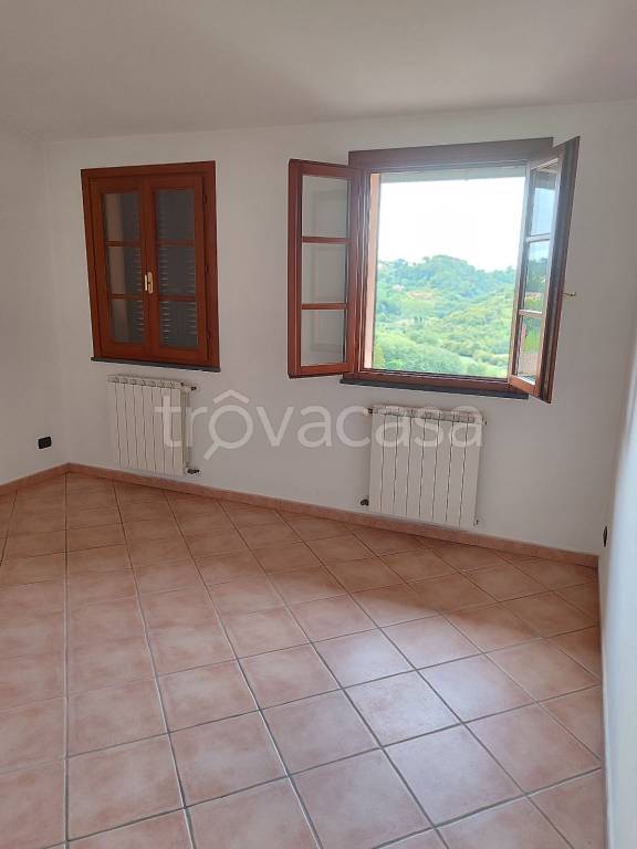 appartamento in affitto a Casciana Terme Lari in zona San Ruffino