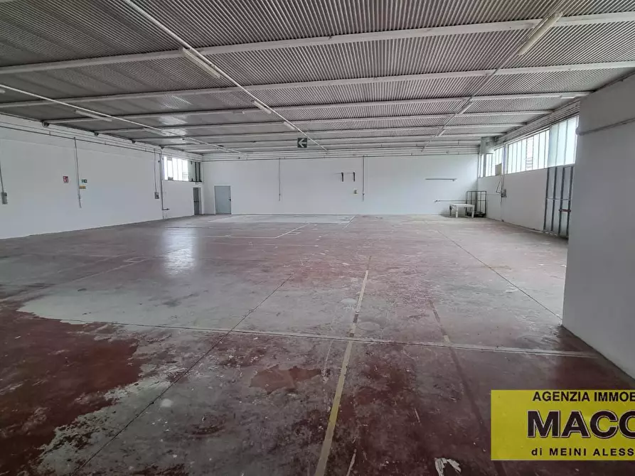 capannone in affitto a Casciana Terme Lari in zona Perignano