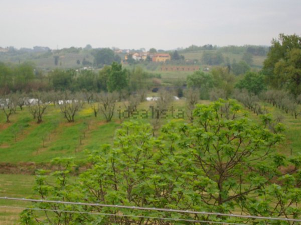 appartamento in affitto a Casciana Terme Lari