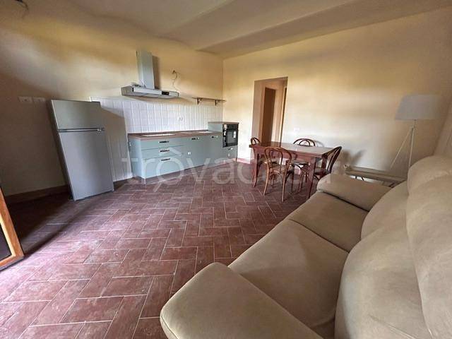 appartamento in affitto a Casciana Terme Lari in zona Lavaiano