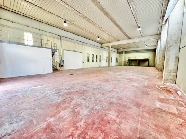 locale commerciale in affitto a Casciana Terme Lari