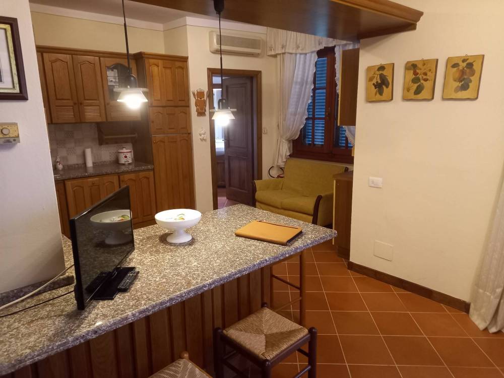 appartamento in affitto a Crespina Lorenzana in zona Cenaia