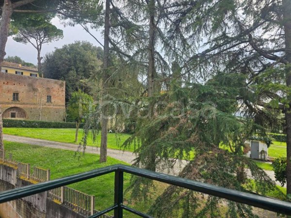 appartamento in affitto a Crespina Lorenzana in zona Lorenzana
