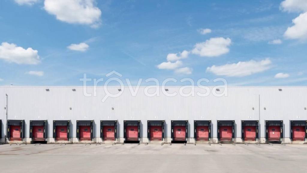 capannone in affitto a San Pietro Mosezzo in zona Mosezzo