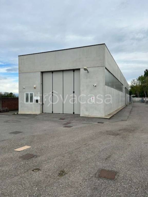 appartamento in affitto a San Pietro Mosezzo in zona Mosezzo