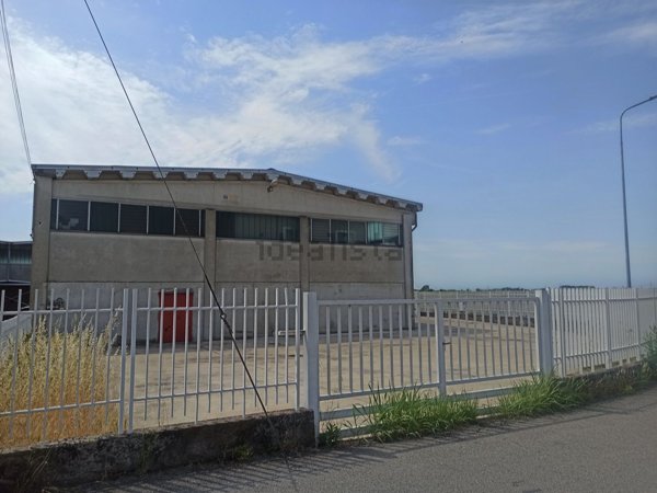 capannone in affitto a Trecate