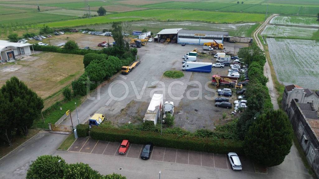 appartamento in affitto a Vicolungo