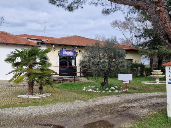 negozio in affitto a Vinzaglio