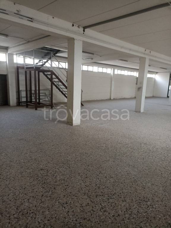 locale commerciale in affitto ad Arezzo in zona Ceciliano