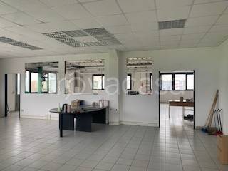 appartamento in affitto ad Arezzo in zona Quarata