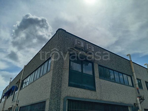 locale commerciale in affitto ad Arezzo in zona Fiorentina