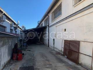 appartamento in affitto ad Arezzo in zona Pescaiola