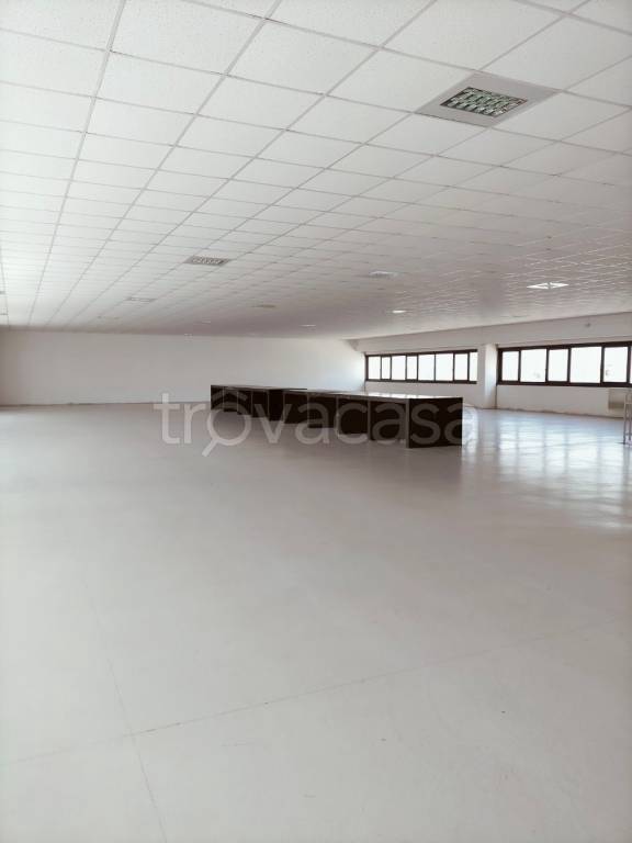 locale commerciale in affitto ad Arezzo in zona Olmo