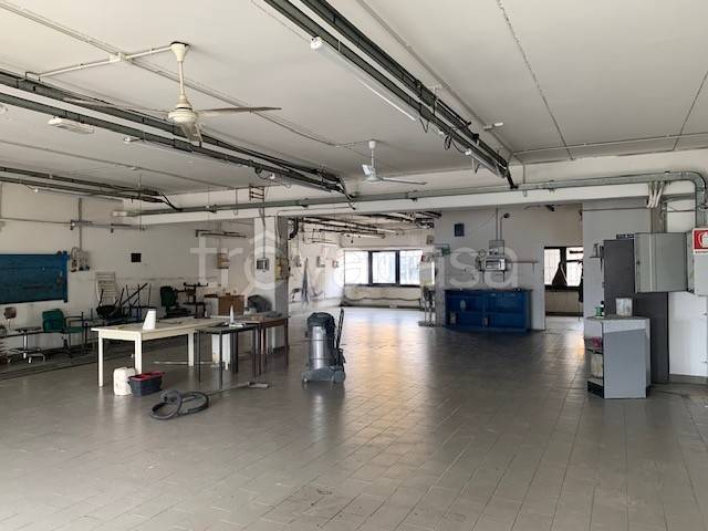 locale commerciale in affitto ad Arezzo in zona Pescaiola