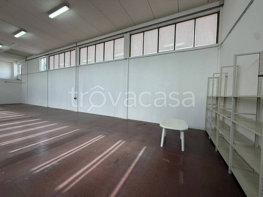 locale commerciale in affitto ad Arezzo in zona Pescaiola