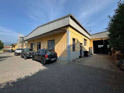 locale commerciale in affitto a Bibbiena