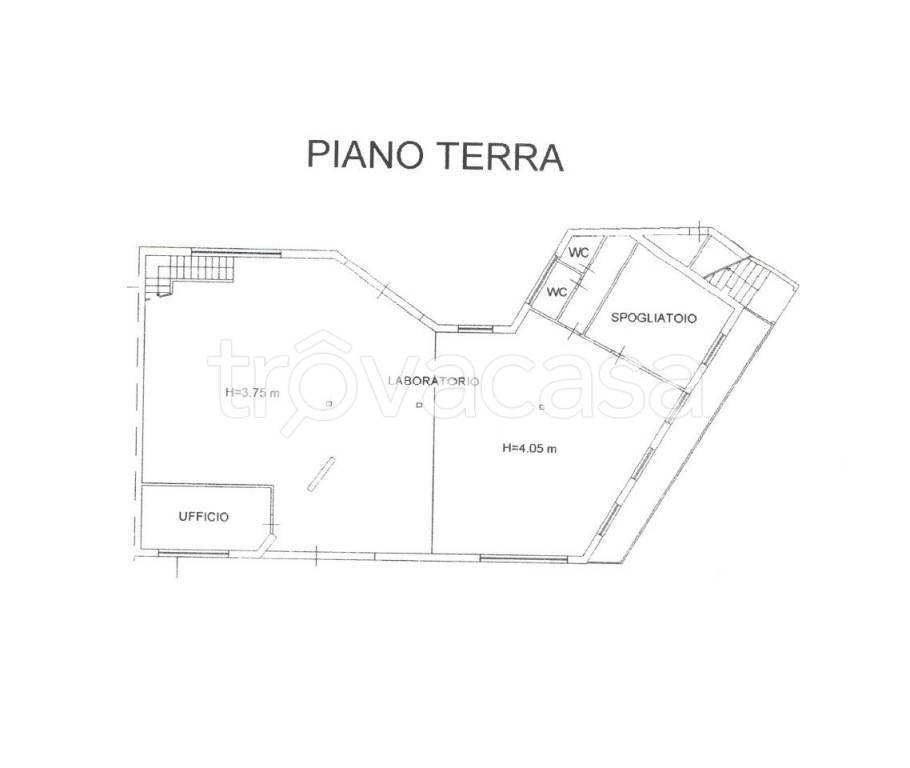 appartamento in affitto a Montevarchi