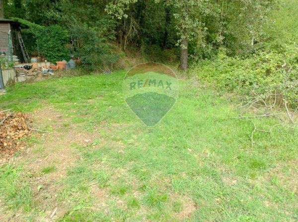 terreno agricolo in affitto a Montevarchi