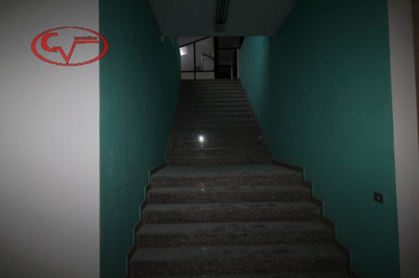 negozio in affitto a Montevarchi