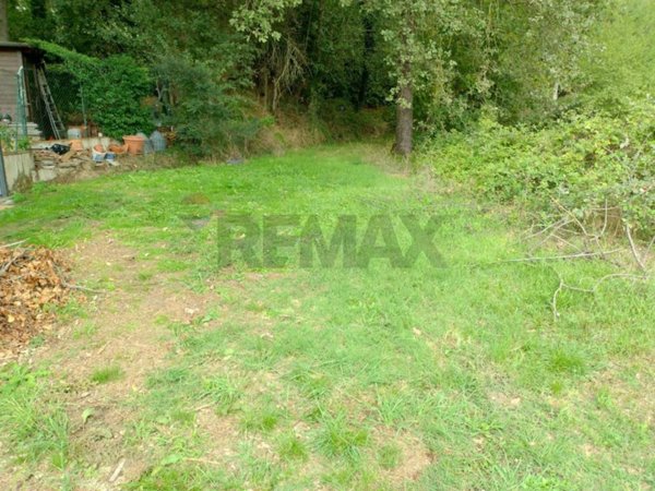 terreno agricolo in affitto a Montevarchi