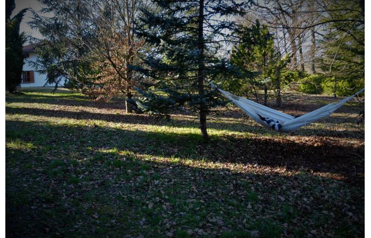 casa indipendente in affitto a Poppi