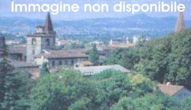 negozio in affitto a Sansepolcro