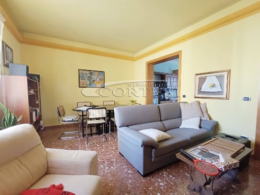 appartamento in affitto a Sansepolcro