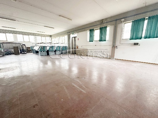 appartamento in affitto a Sansepolcro