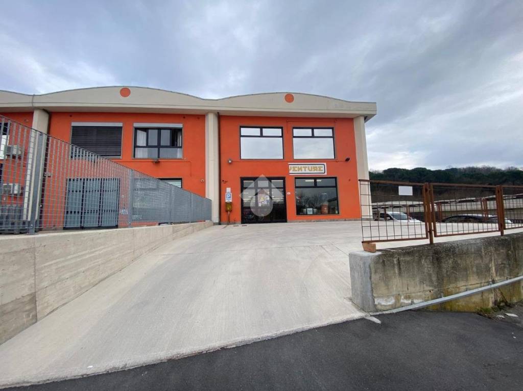 negozio in affitto a Terranuova Bracciolini