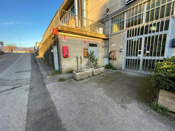 negozio in affitto a Terranuova Bracciolini