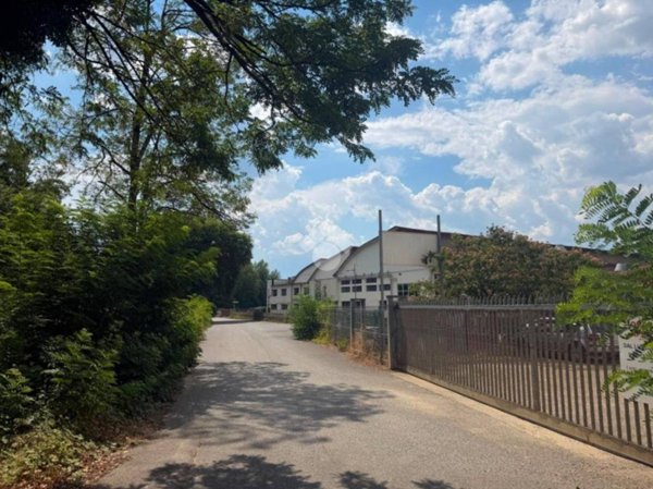 negozio in affitto a Terranuova Bracciolini