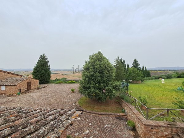 appartamento in affitto ad Asciano