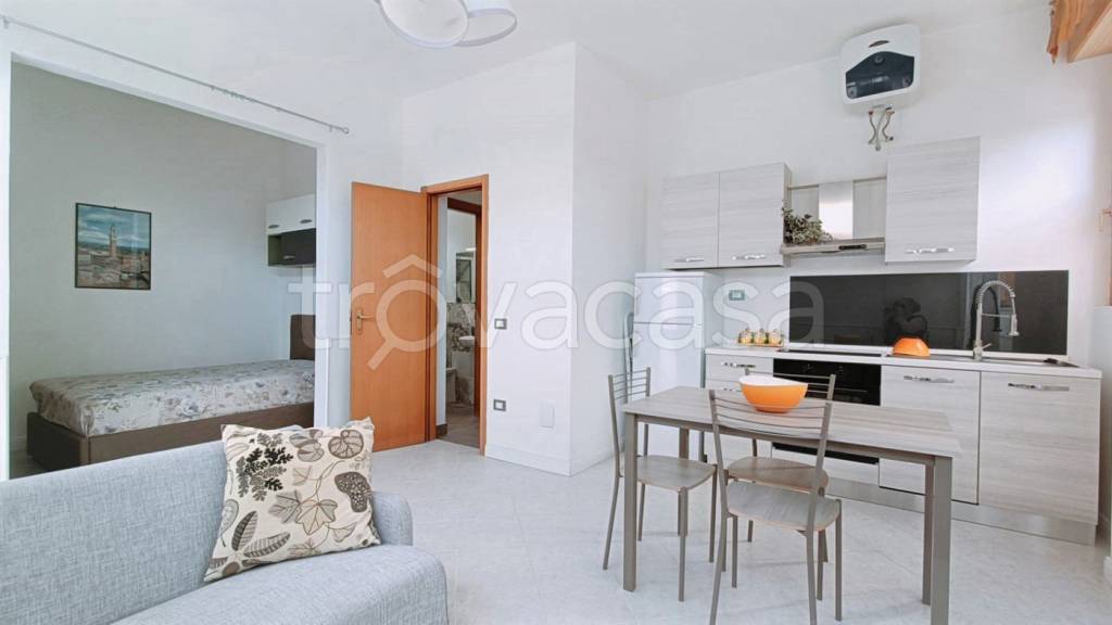 appartamento in affitto ad Asciano in zona Arbia