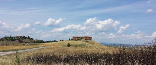 capannone in affitto ad Asciano