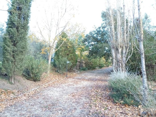 appartamento in affitto a Monteriggioni in zona Badesse