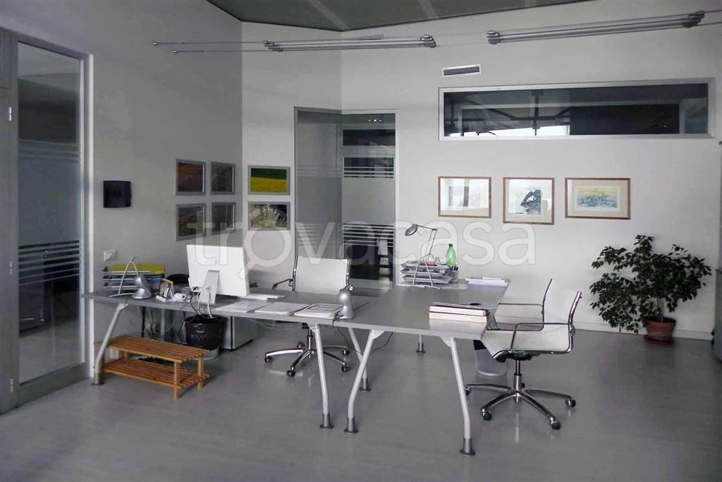 appartamento in affitto a Monteriggioni in zona Belverde