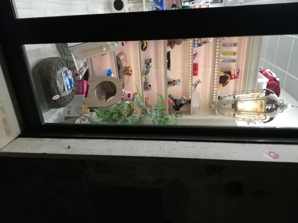 negozio in affitto a Monteriggioni in zona Castellina Scalo