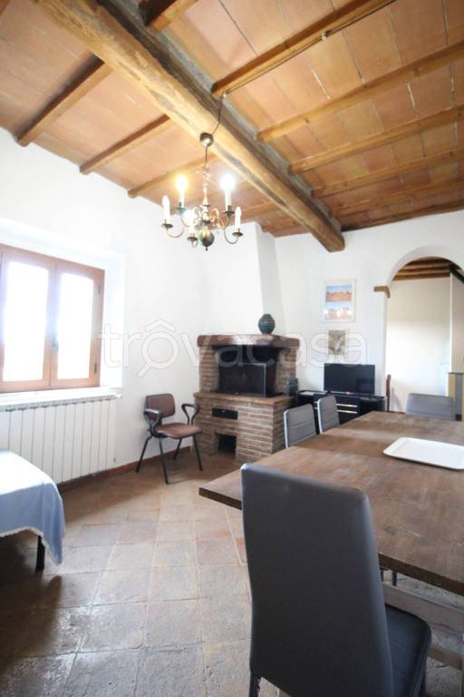 appartamento in affitto a Monticiano
