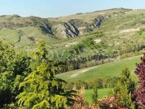 casa indipendente in affitto a Radicofani