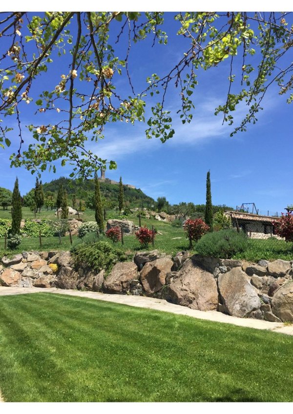 appartamento in affitto a Radicofani