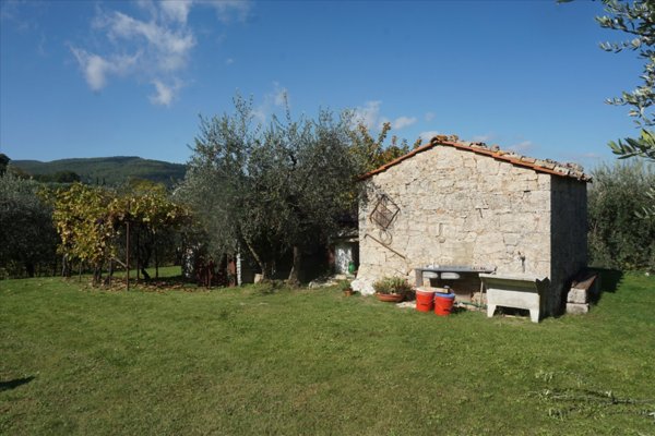 terreno agricolo in affitto a Sarteano in zona Castiglioncello del Trinoro